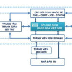 Cấu trúc tổ chức của Sàn Giao dịch hàng hóa Việt Nam