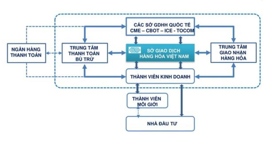 Cấu trúc tổ chức của Sàn Giao dịch hàng hóa Việt Nam