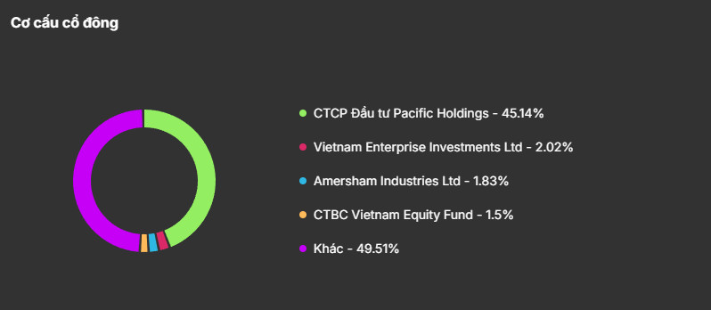 Cơ cấu cổ đông VCG