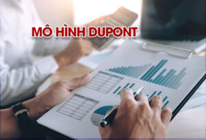 Tìm Hiểu Momentum: Công Cụ Phân Tích Tài Chính Đắc Lực