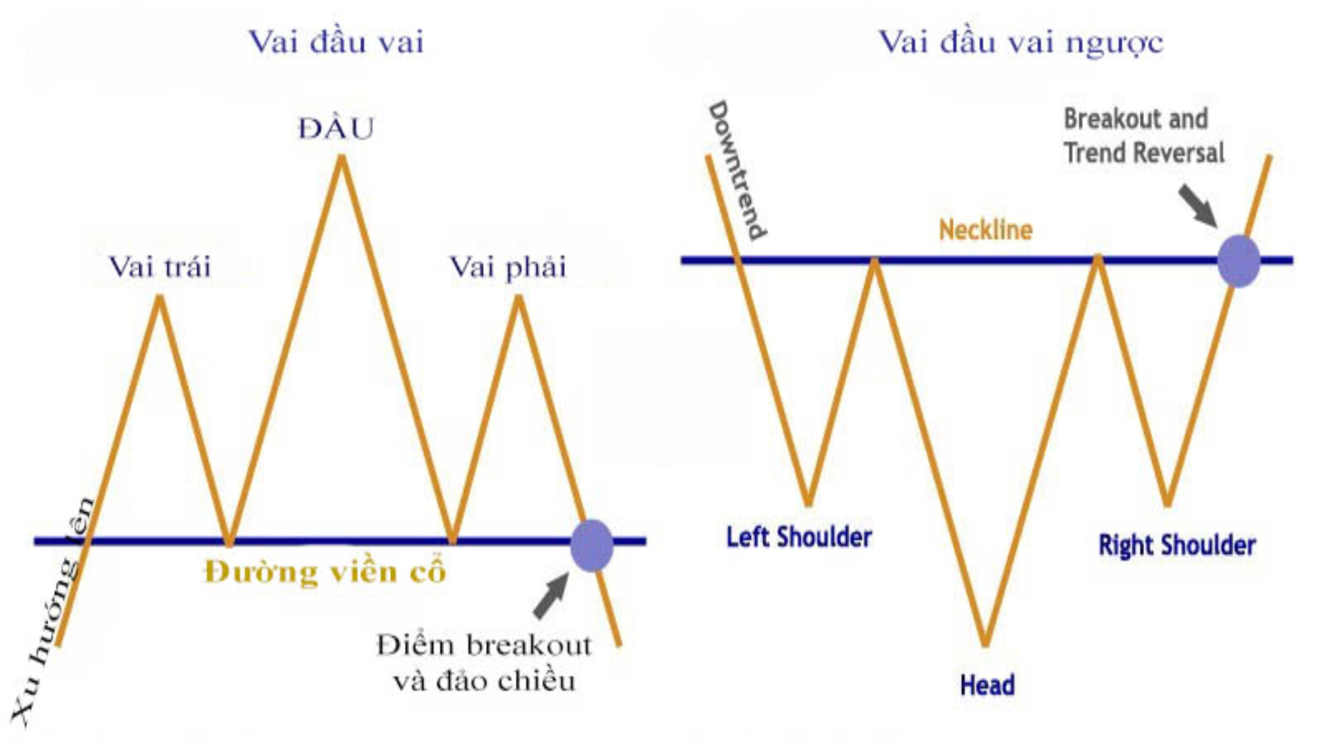 Mô hình vai đầu vai ngược