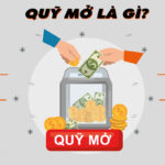 Quy Mô Là Gì?