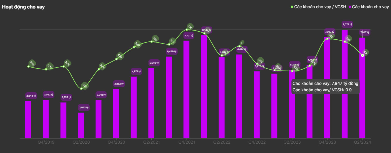 VCI Loan Portfolio