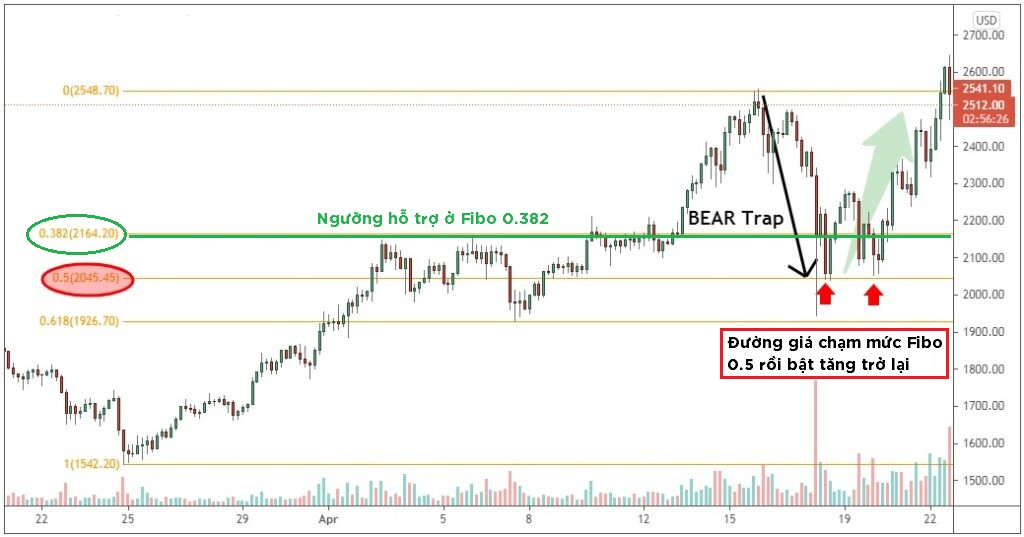 Cách để nhận biết Bear Trap