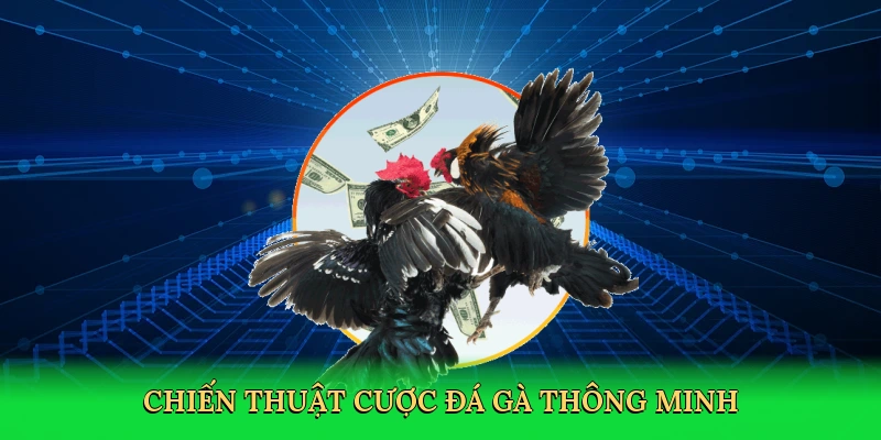 Đá Gà Miền Nam – Hành Trình Giải Trí Kịch Tính Tại Red88