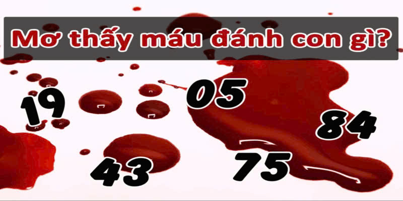 Giấc mơ nhìn thấy máu FB88 chiến lược khoa học