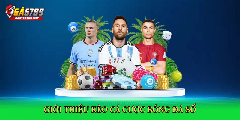 Kèo Cá Cược Bóng Đá Số GA6789 – Bí Quyết Thắng Lớn 2025