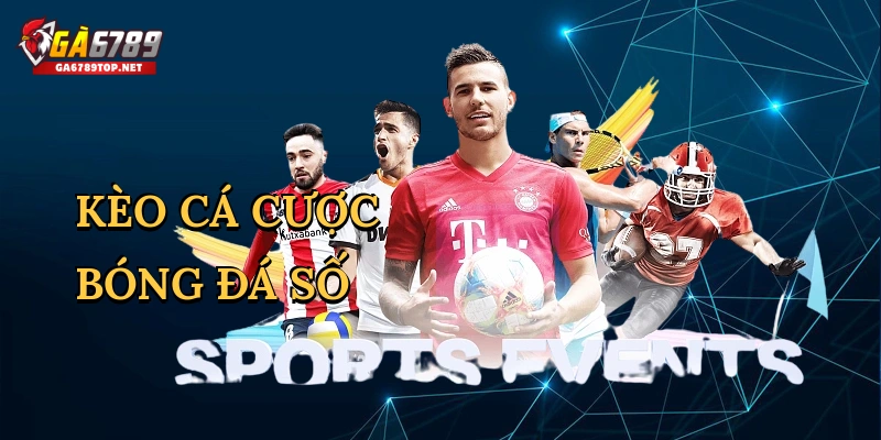 Kèo cá cược bóng đá số