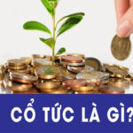 Khái niệm cổ tức