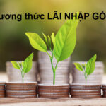 Lãi Nhập Gốc Là Gì?