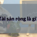 Tài sản ròng là gì?