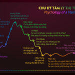 tam-ly-thi-truong