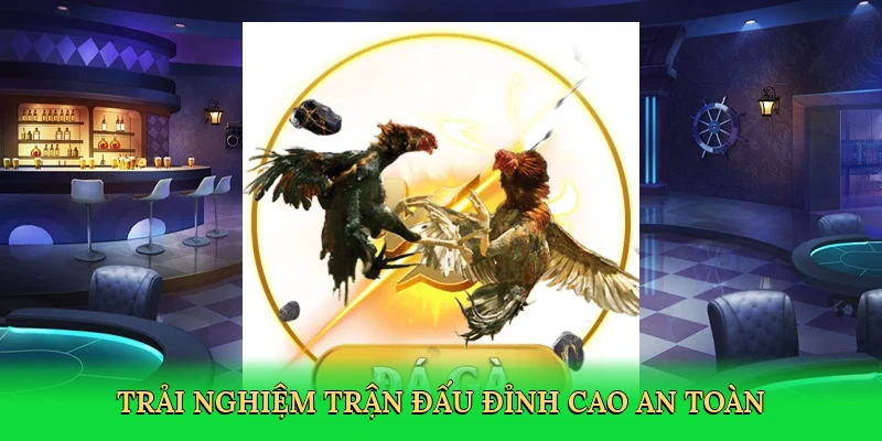Đá Gà Miền Nam – Hành Trình Giải Trí Kịch Tính Tại Red88