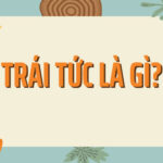 Trái tức là gì?