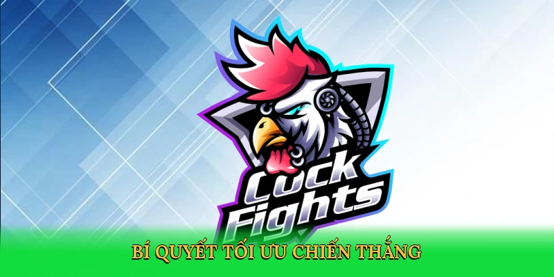 Đá Gà Cựa Dao &#8211; Cá Cược Kịch Tính Trên Nền Tảng 88VN