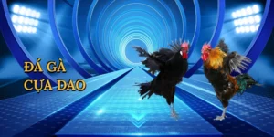 Cách Soi Cầu Baccarat – Bí Quyết Cá Cược Thắng Lớn Cùng SV88