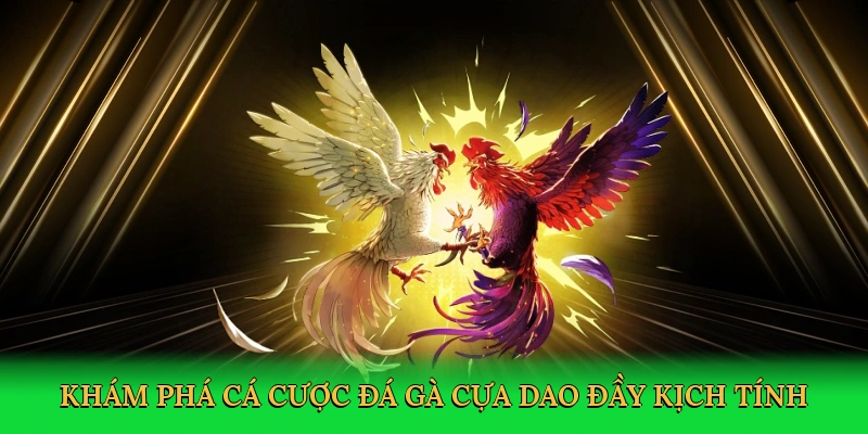 Đá Gà Cựa Dao &#8211; Cá Cược Kịch Tính Trên Nền Tảng 88VN