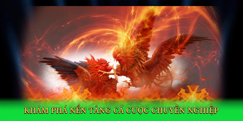 Đá Gà Cựa Dao &#8211; Cá Cược Kịch Tính Trên Nền Tảng 88VN