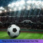 Tăng Cơ Hội Thắng Với Kèo Cược Trực Tiếp