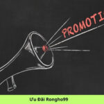 Ưu Đãi Rongho99