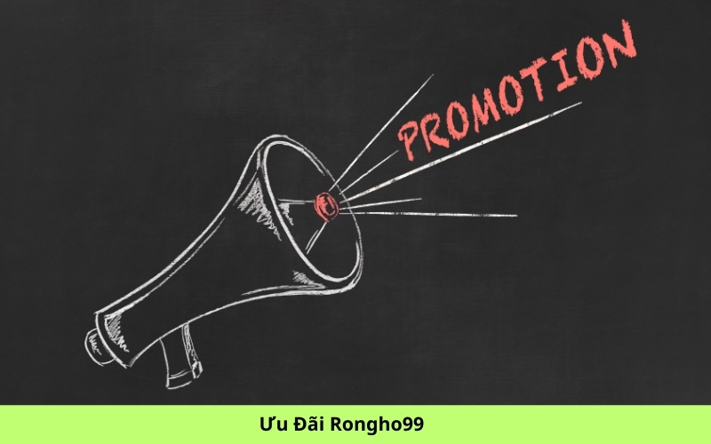 Ưu Đãi Rongho99